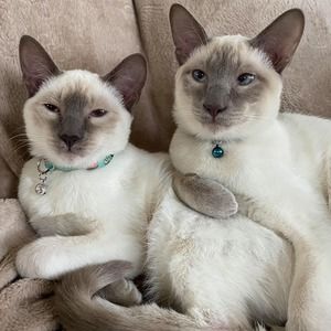 Meet your Posher, Sally